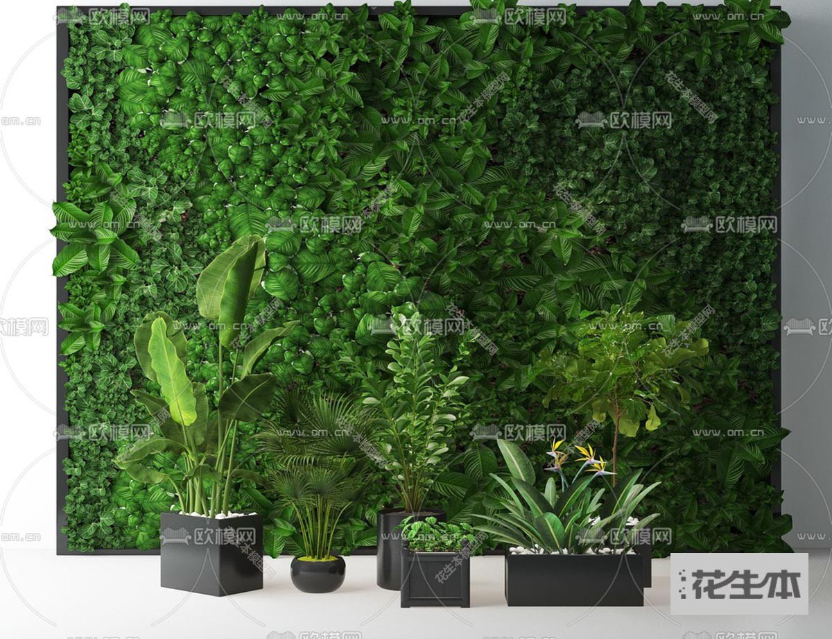 现代绿植盆栽3d模型「免费下载」现代植物墙绿植盆栽3d模型ID833575.jpg(1)