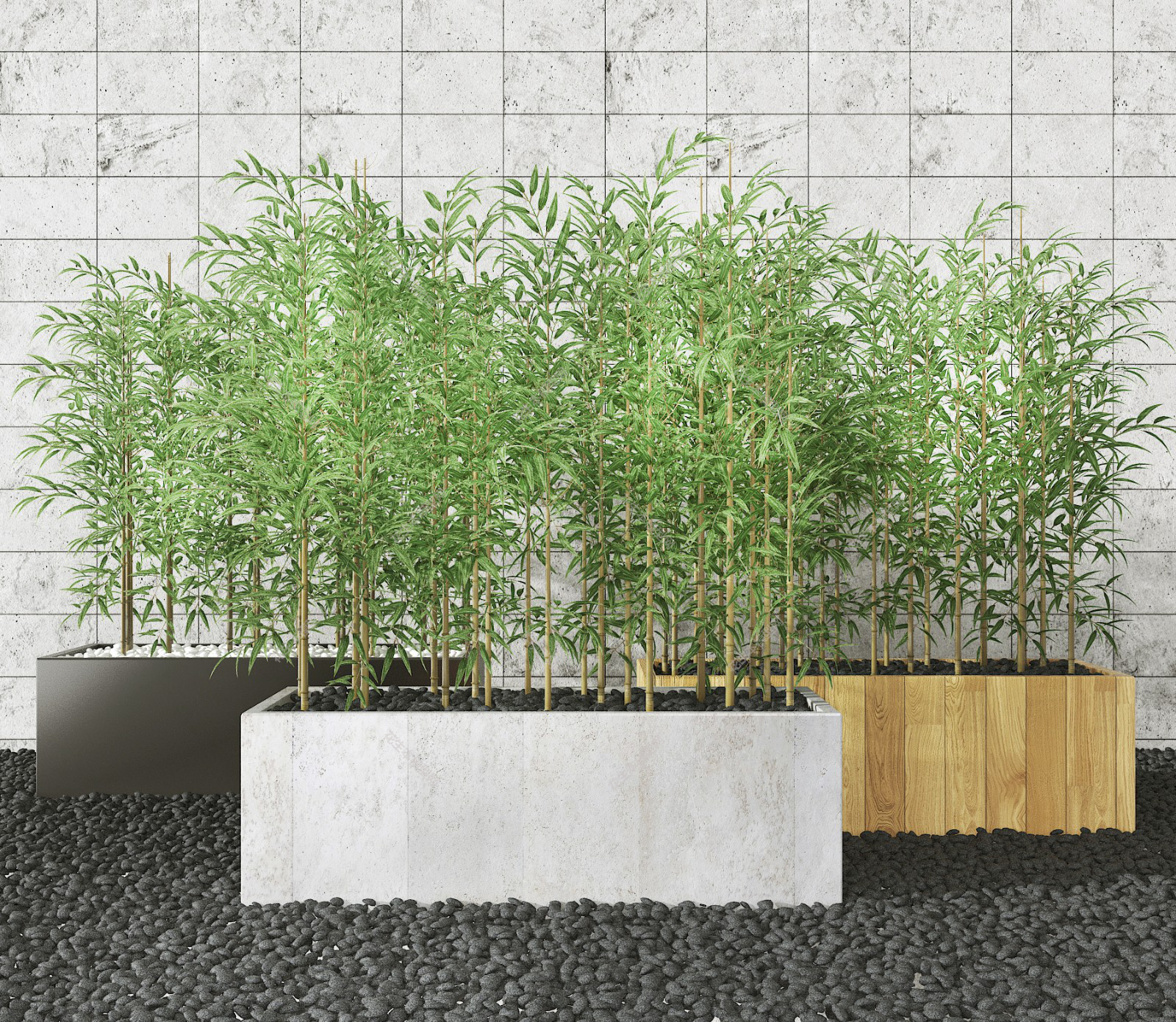 现代室外竹子盆栽3d模型下载3.jpg(1)