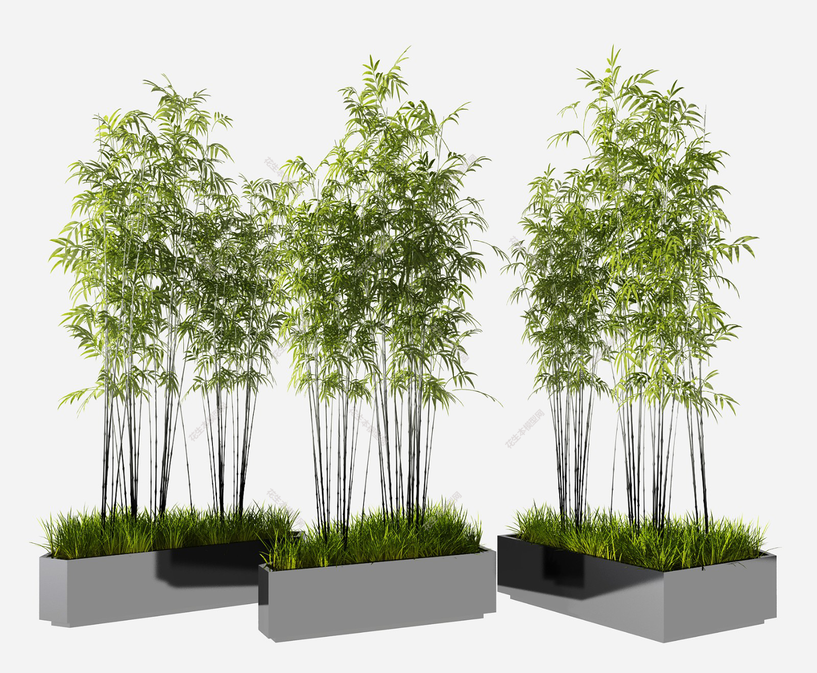 现代竹子盆栽树池3d模型下载5.jpg(1)